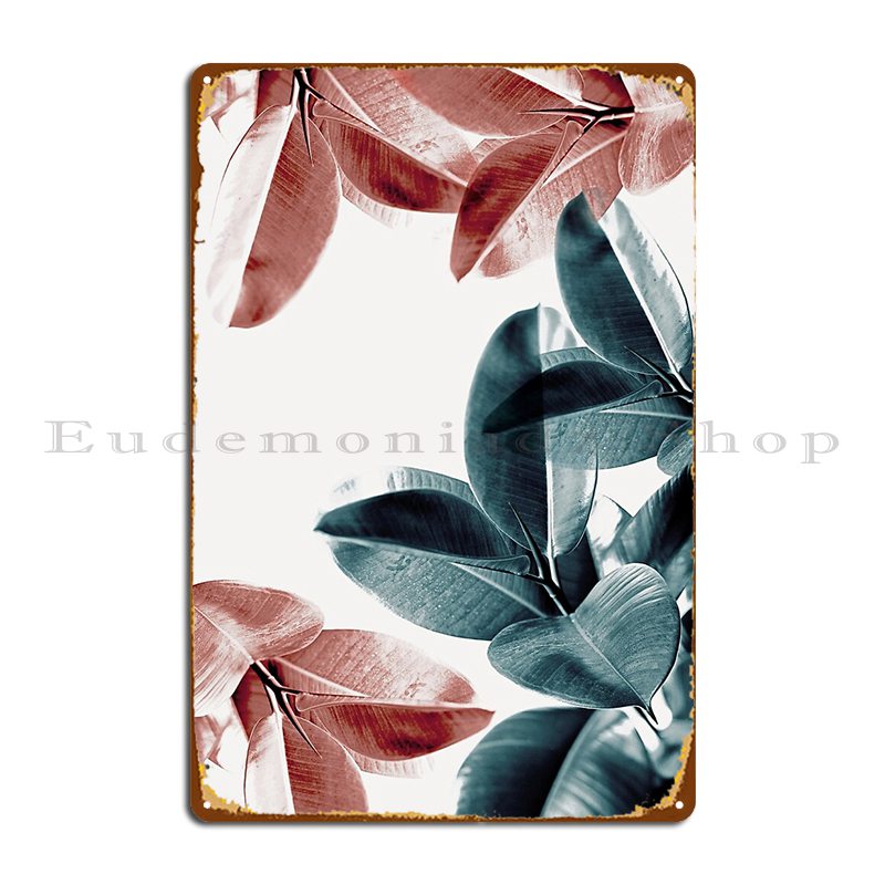 Rubber Plant Ficus - أوراق نباتية مطاطية أوراق خضراء ووردية