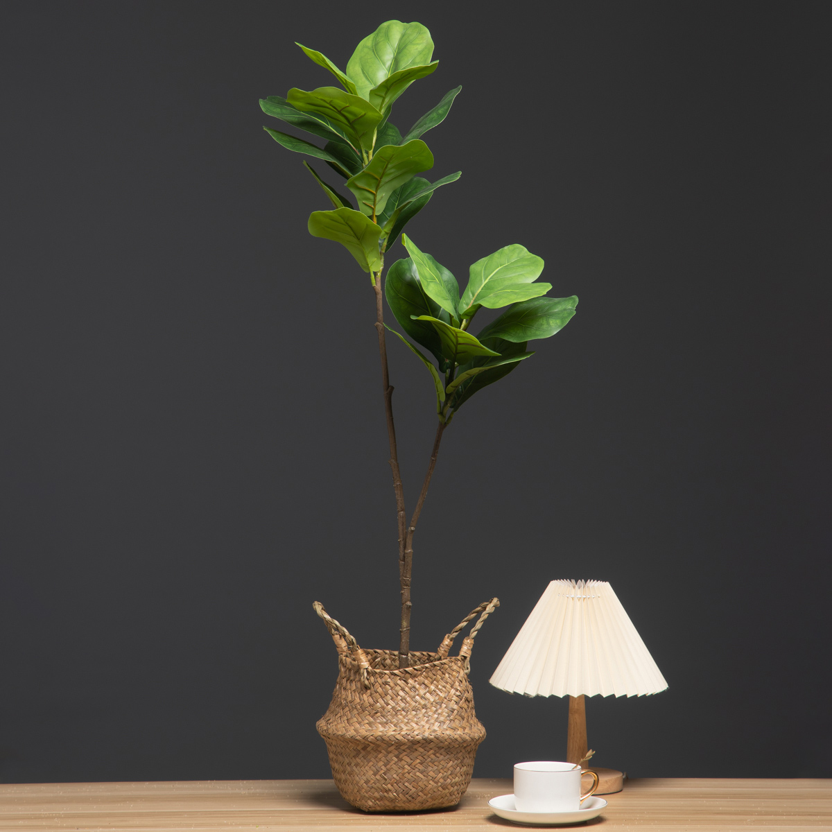 103 سنتيمتر/132 سنتيمتر فرع شج - مراجعة Rubber Plant Ficus وسعره