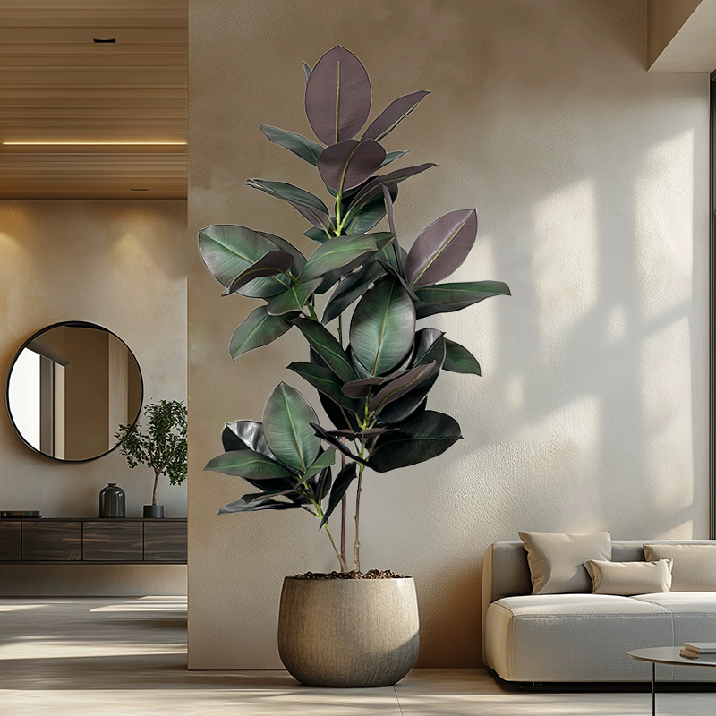 شجرة تين صناعية بطول 70-150 سم - مراجعة Rubber Plant Ficus وسعره