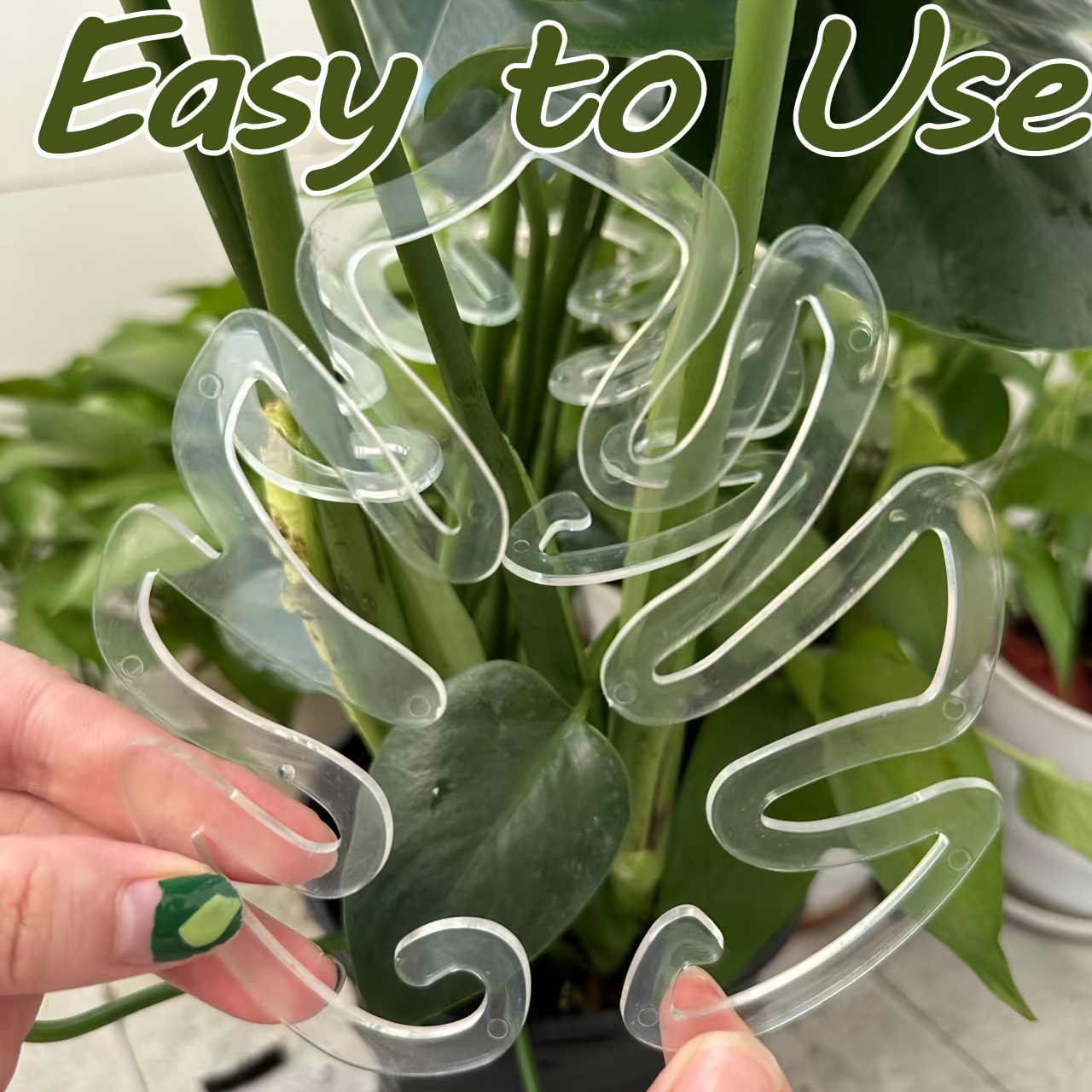مشابك بلاستيكية مرنة لدعم نبات - مراجعة Variegated Monstera Node وسعره