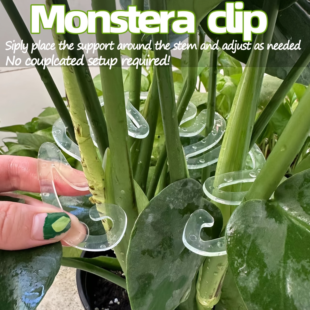 مشابك بلاستيكية مرنة لدعم نبات - مراجعة Variegated Monstera Node وسعره