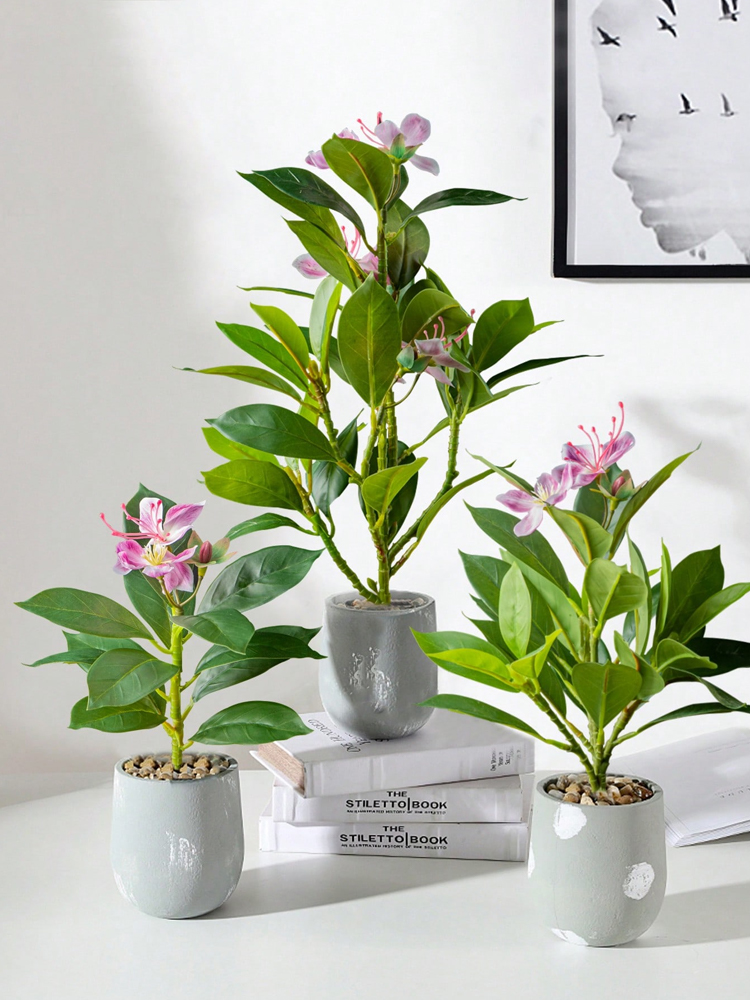 21-40 سنتيمتر نباتات الأزالياس - مراجعة Rubber Plant Ficus وسعره