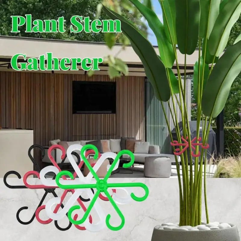4 قطع من مشابك دعم النباتات ال - مراجعة Variegated Monstera Node وسعره