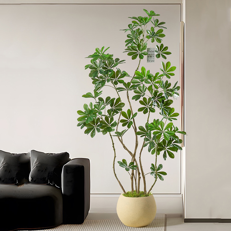 شجرة اللبخ الصناعية الكبيرة ،  - مراجعة Rubber Plant Ficus وسعره