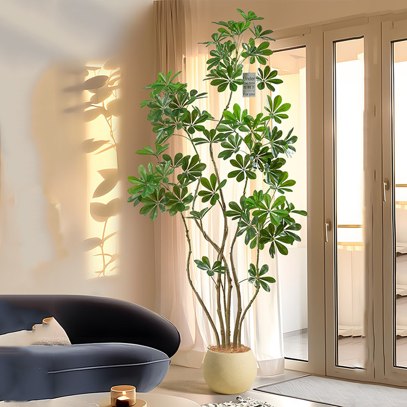 شجرة اللبخ الصناعية الكبيرة ،  - مراجعة Rubber Plant Ficus وسعره