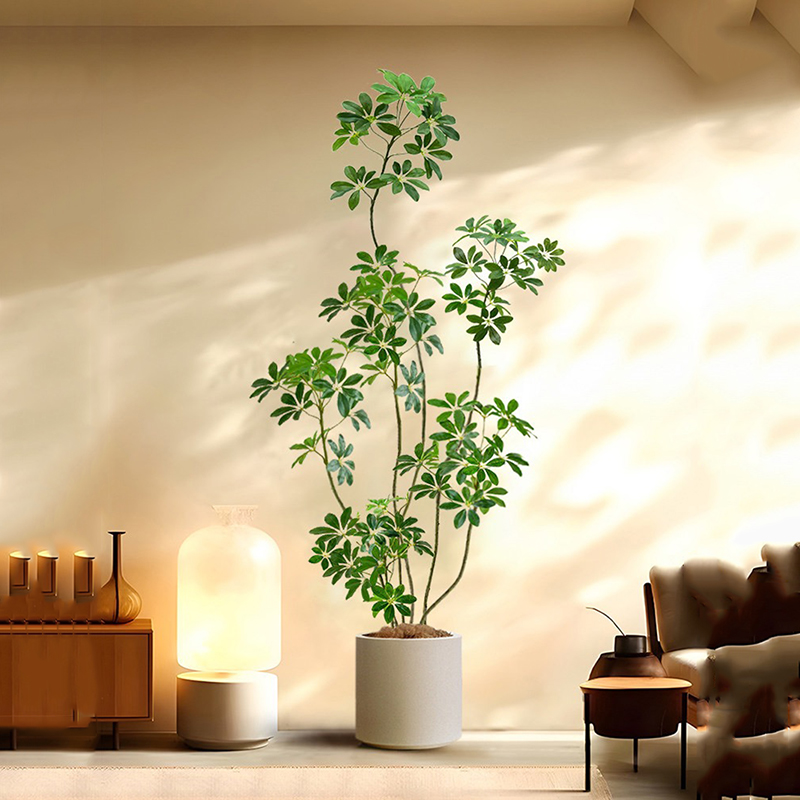 شجرة اللبخ الصناعية الكبيرة ،  - مراجعة Rubber Plant Ficus وسعره