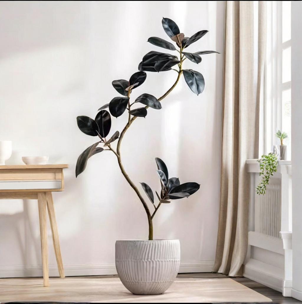 نبات بلاستيكي اصطناعي بوعاء نب - مراجعة Rubber Plant Ficus وسعره
