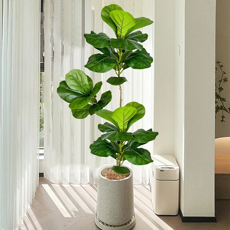 شجرة تين صناعية كبيرة بطول 2-4 - مراجعة Rubber Plant Ficus وسعره