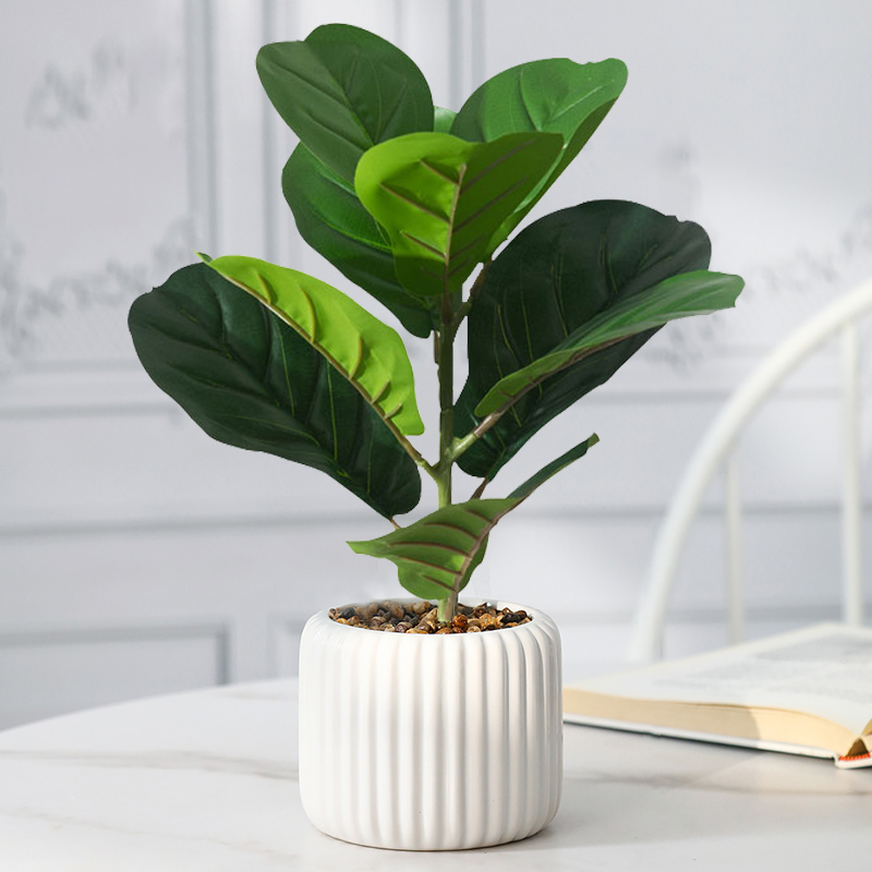 38 سنتيمتر شجرة اللبخ وهمية ال - مراجعة Rubber Plant Ficus وسعره